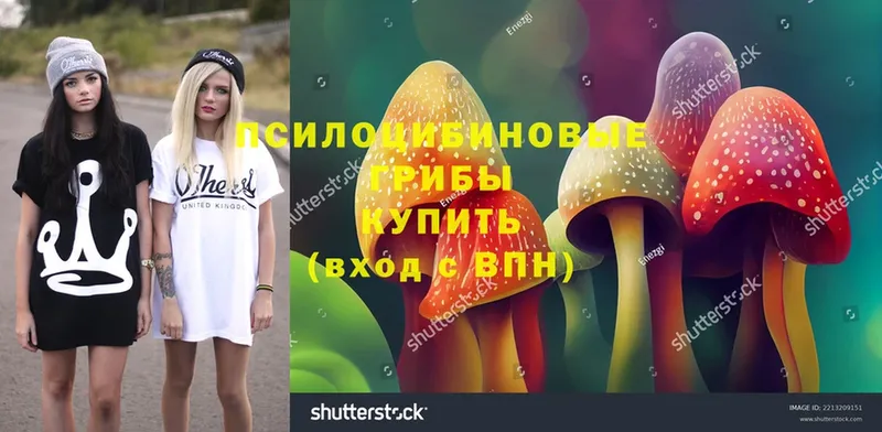 Галлюциногенные грибы MAGIC MUSHROOMS  закладки  площадка как зайти  Киреевск 