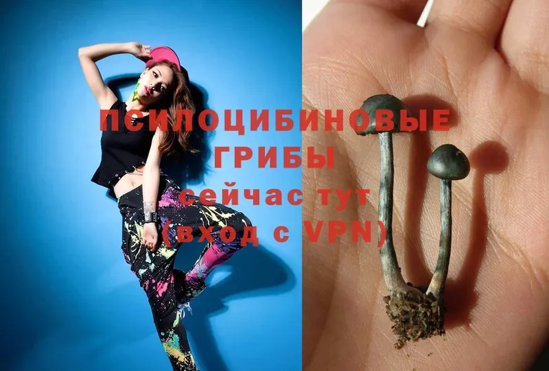 Псилоцибиновые грибы Magic Shrooms Киреевск